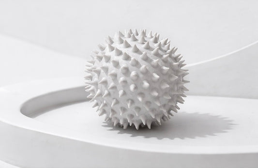 Hedgehog Relaxing Massage Yoga Fascia Ball